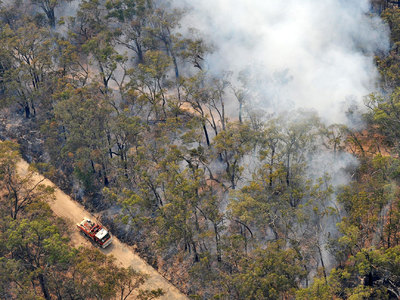 Жара в Австралии стала причиной почти 300 пожаров