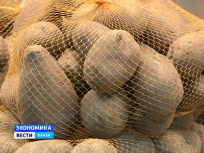 В Пензе рост цен на социально важные продукты приостановился