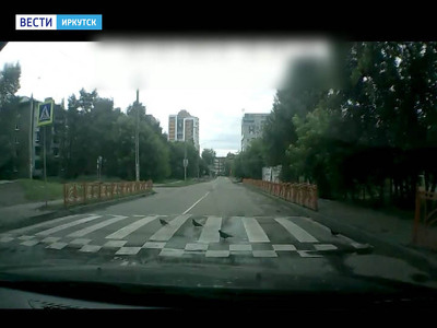 Голуби Иркутска соблюдают ПДД