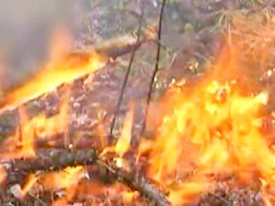 Пламя пожирает российские леса