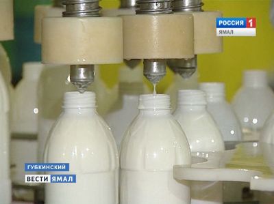 Натурально и вкусно. Молокозавод Губкинского расширяет свой ассортимент
