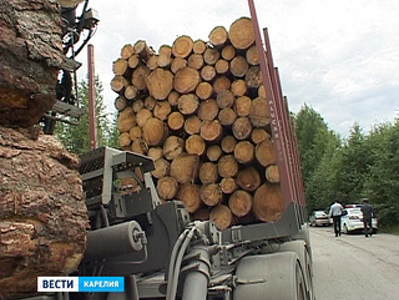 В Карелии идёт проверка деятельности лесозаготовителей