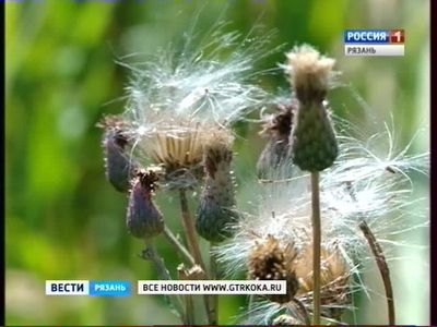Рязанскую область признали самой опасной для аллергиков