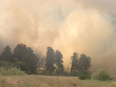 Пучков: все населенные пункты в Иркутской области защищены от пожаров
