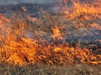 Пожар в Новоорском районе: эвакуированы 300 жителей села Горьковское