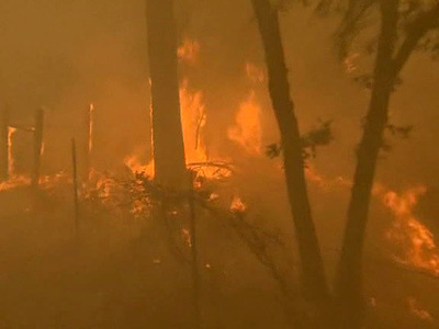 Из-за лесных пожаров эвакуированы тысячи калифорнийцев