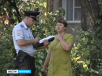 В Воронеже упавшая ветка тополя едва не убила людей на детской площадке