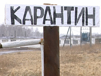 В Омской области введен карантин по бешенству