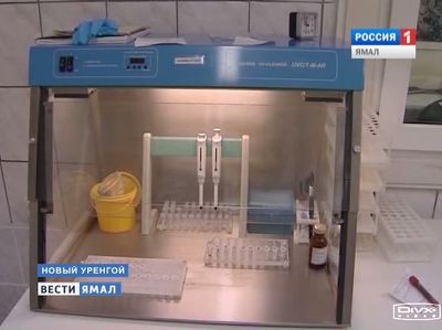 В Новом Уренгое зарегистрирован свиной грипп