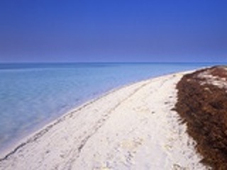 На рынке США сегодня ожидается уверенный и достаточно мощный рост