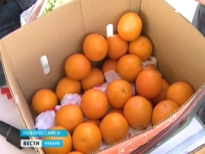 Почти 148 тысяч тонн египетских апельсинов не пропустили на Кубань
