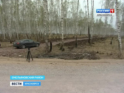 Судьбу бугачёвского леса решают в суде