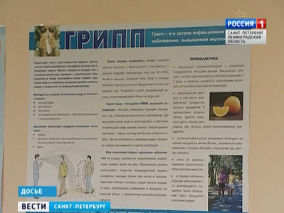 Эпидемия пандемического свиного гриппа в Петербурге может продлиться до весны