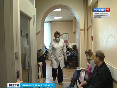 Шесть человек скончались от свиного гриппа в Ленинградской области