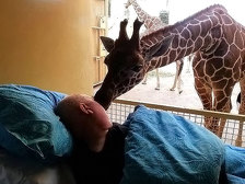  (http://metro.co.uk)