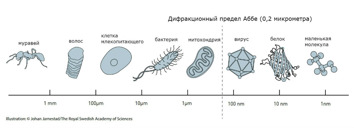 Файл загружен. Размер: 68448 байт