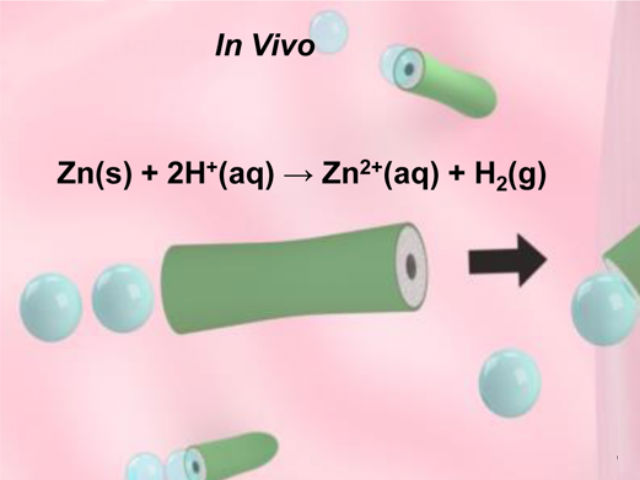 В результате химической реакции выделяется водород, пузырьки которого толкают трубку в сторону слизистой (иллюстрация Wei Gao et al.).