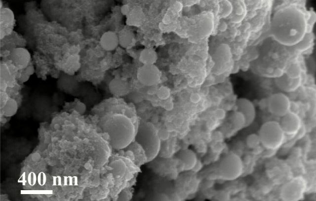 Так выглядит структура покрытия под микроскопом (фото Guo Lab/University of Rochester). 