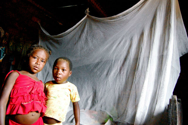 На те деньги, которые некоторые журналы открытого доступа взимают с каждой команды авторов, написавших статью, можно обеспечить москитными сетками более 400 детей (фото Wikimedia Commons). 