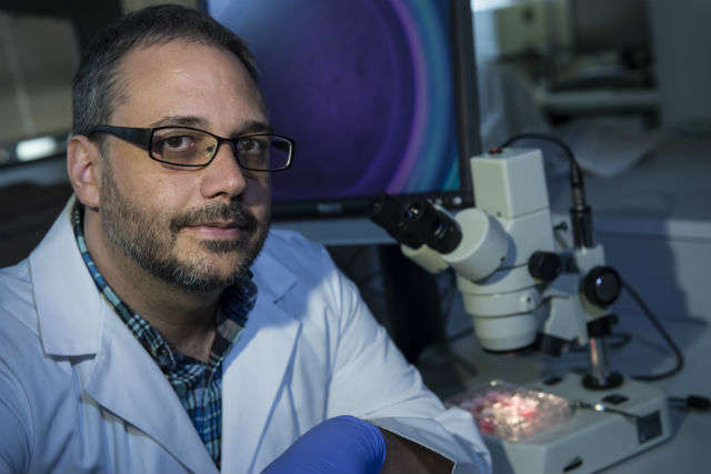 Ведущий автор исследования Джеффри Джейкот за работой в своей лаборатории (фото Jeff Fitlow/Rice University). 