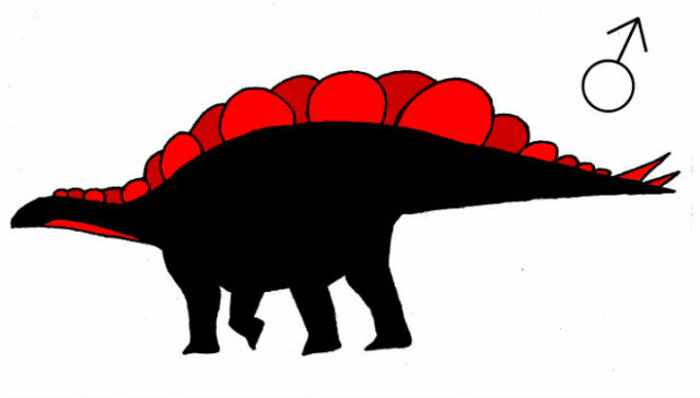 Внешний вид самца стегозавра, по мнению автора новой работы (фото Evan Saitta).