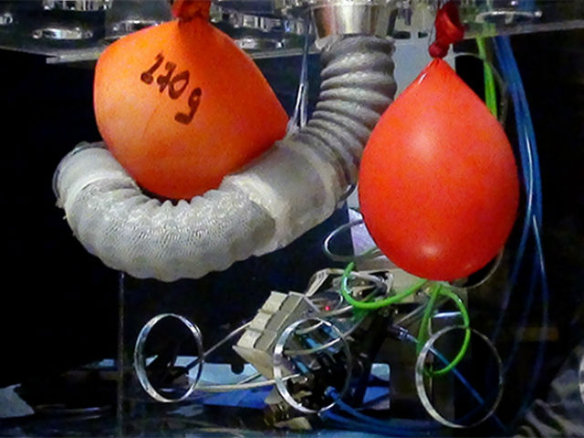 Во время демонстрации возможностей манипулятора внутренние органы заменили наполненные водой воздушные шары (фото Tommaso Ranzani).
