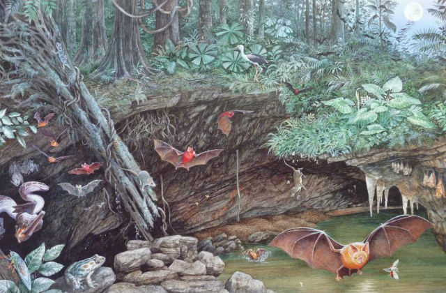 Фауна древнего мира 17 миллионов лет назад в представлении художника (иллюстрация Dorothy Dunphy). 