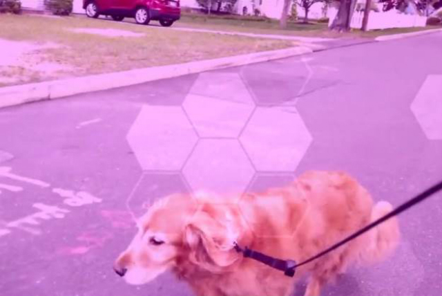 Файл загружен. Размер: 150338 байт