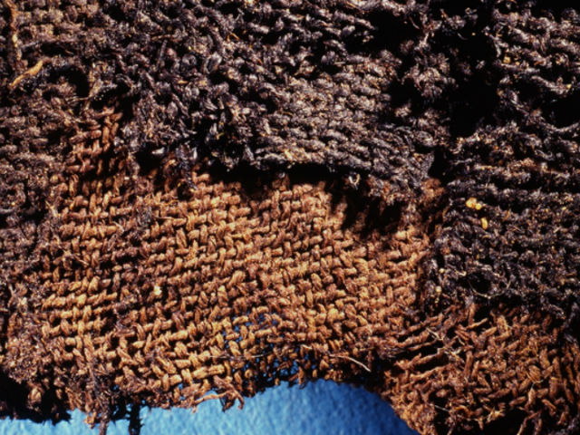 Ткани пролежали 80 лет без внимания учёных, прежде чем перевернули представления археологов о мумификации (фото Ron Oldfield, Jana Jones).