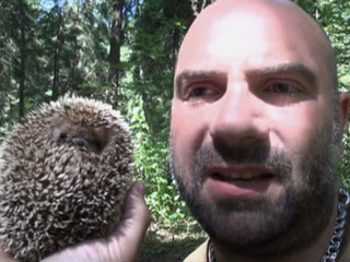 Как баженов ловит зверей Как баженов ловит зверей