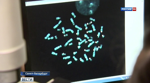 Вести. Эфир от 1 июля 2015 года (17:00)